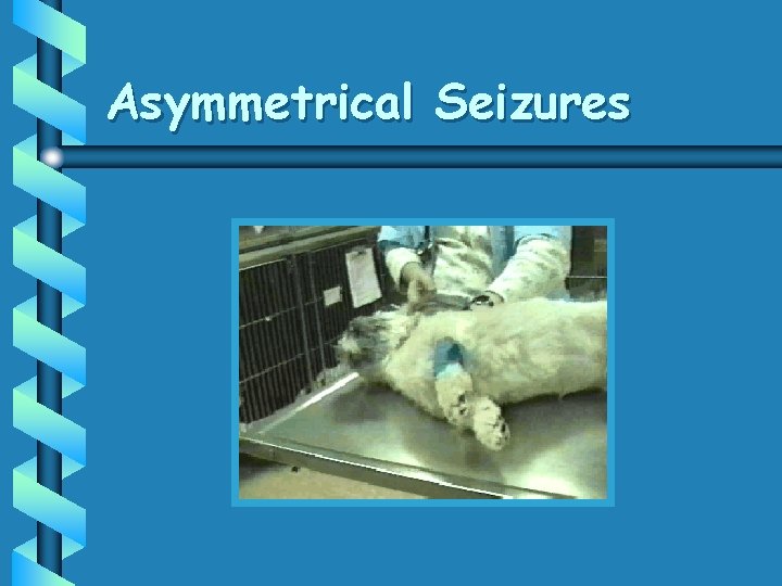 Asymmetrical Seizures 