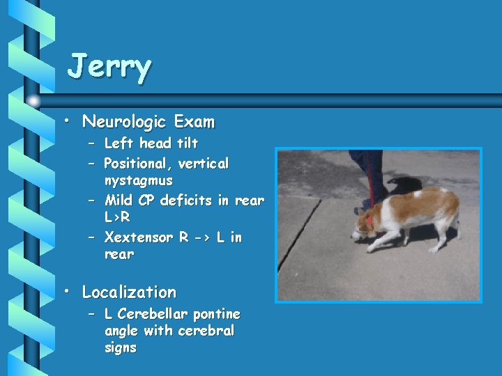 Jerry • Neurologic Exam – Left head tilt – Positional, vertical nystagmus – Mild