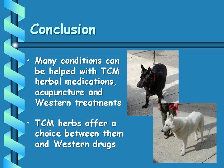 Conclusion • Many conditions can be helped with TCM herbal medications, acupuncture and Western