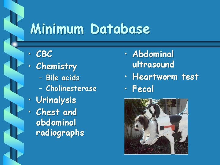 Minimum Database • CBC • Chemistry – Bile acids – Cholinesterase • Urinalysis •