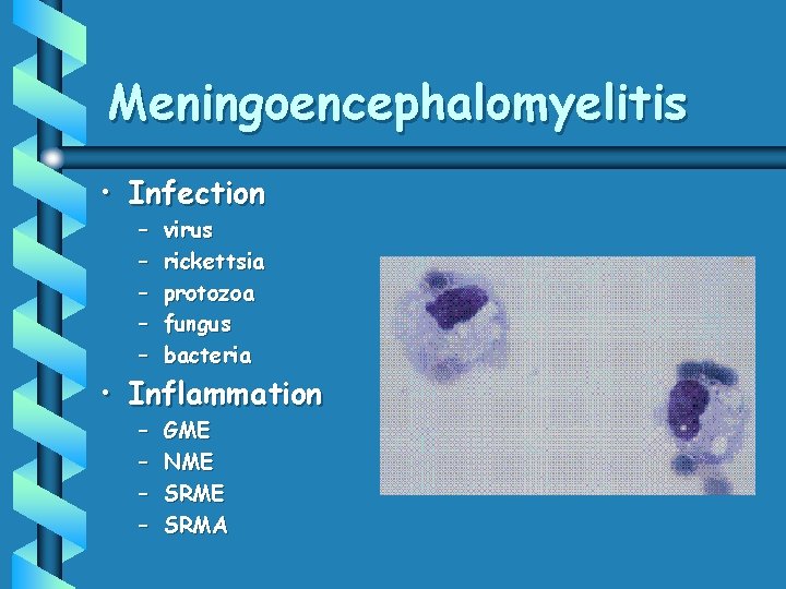 Meningoencephalomyelitis • Infection – – – virus rickettsia protozoa fungus bacteria – – GME Meningoencephalomyelitis • Infection – – – virus rickettsia protozoa fungus bacteria – – GME