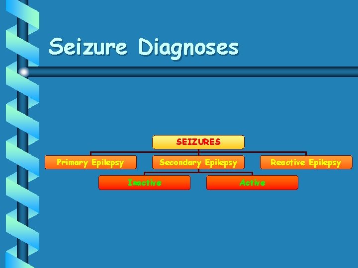 Seizure Diagnoses SEIZURES Primary Epilepsy Secondary Epilepsy Inactive Reactive Epilepsy Active Seizure Diagnoses SEIZURES Primary Epilepsy Secondary Epilepsy Inactive Reactive Epilepsy Active