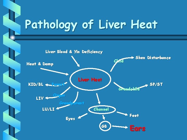 Pathology of Liver Heat Liver Blood & Yin Deficiency Child Heat & Damp KID/BL