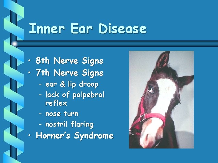 Inner Ear Disease • 8 th Nerve Signs • 7 th Nerve Signs –