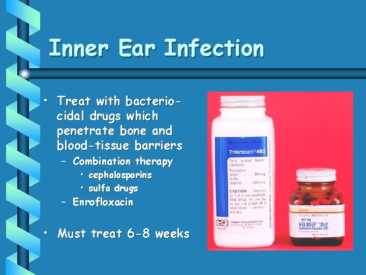 Inner Ear Infection • Treat with bacteriocidal drugs which penetrate bone and blood-tissue barriers