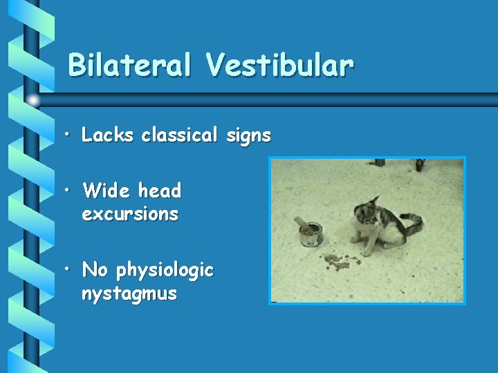 Bilateral Vestibular • Lacks classical signs • Wide head excursions • No physiologic nystagmus