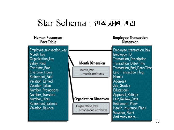 Star Schema : 인적자원 관리 30 