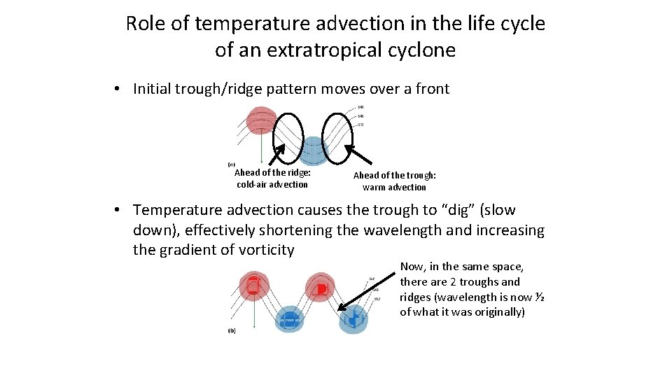 Role of temperature advection in the life cycle of an extratropical cyclone • Initial