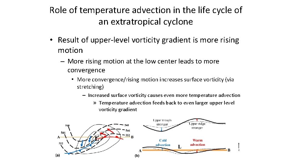 Role of temperature advection in the life cycle of an extratropical cyclone • Result