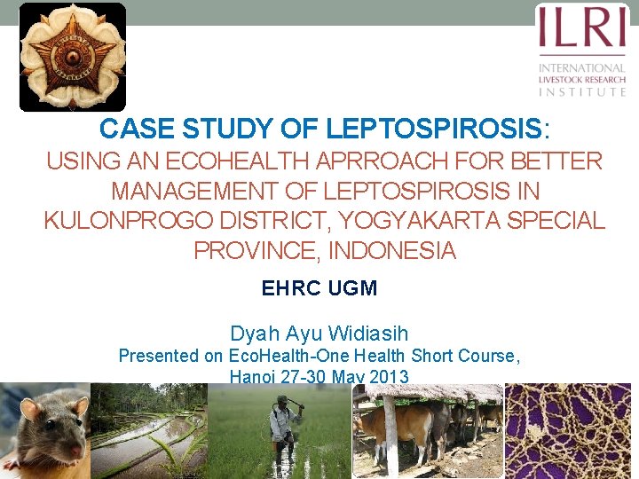 CASE STUDY OF LEPTOSPIROSIS: USING AN ECOHEALTH APRROACH FOR BETTER MANAGEMENT OF LEPTOSPIROSIS IN