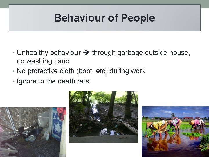 Behaviour of People • Unhealthy behaviour through garbage outside house, no washing hand •