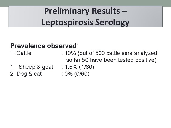 Preliminary Results – Leptospirosis Serology Prevalence observed: 1. Cattle 1. Sheep & goat 2.