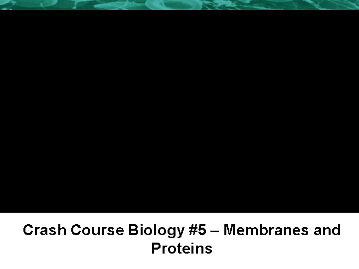 Crash Course Biology #5 – Membranes and Proteins 