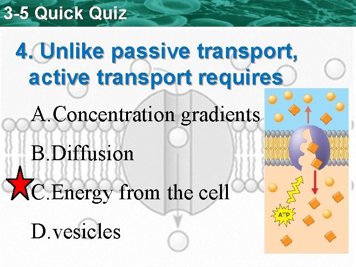 3 -5 Quick Quiz 4. Unlike passive transport, active transport requires A. Concentration gradients