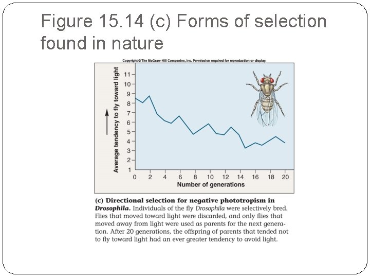 Figure 15. 14 (c) Forms of selection found in nature 