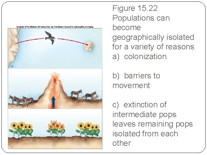 Figure 15. 22 Populations can become geographically isolated for a variety of reasons a)