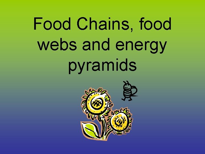 Food Chains, food webs and energy pyramids 