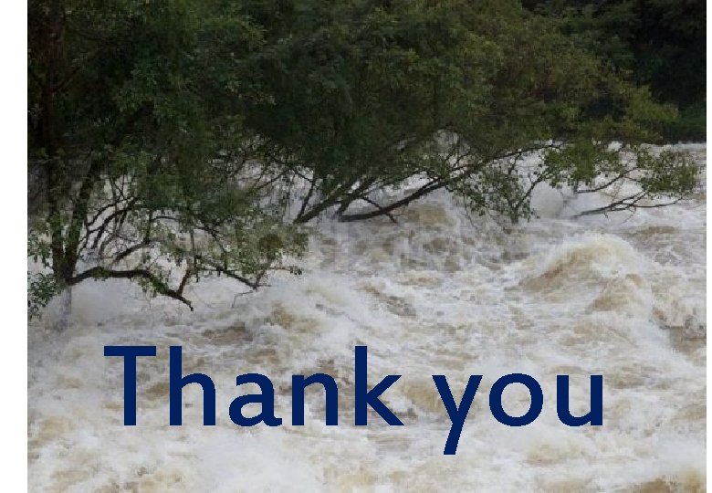 Thank you Thank you