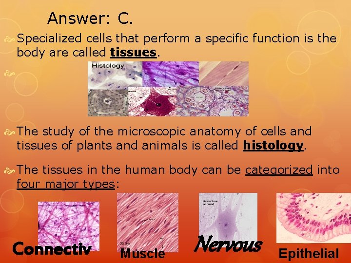 Answer: C. Specialized cells that perform a specific function is the body are called