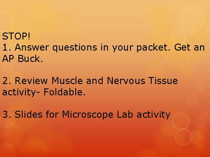 STOP! 1. Answer questions in your packet. Get an AP Buck. 2. Review Muscle