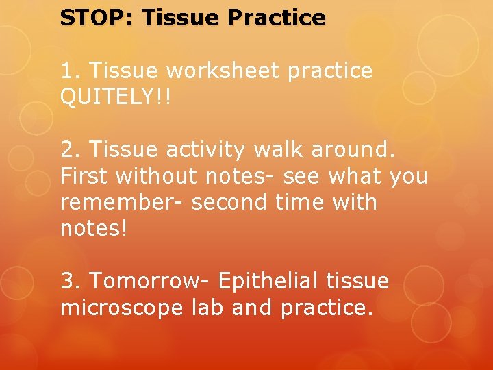 STOP: Tissue Practice 1. Tissue worksheet practice QUITELY!! 2. Tissue activity walk around. First