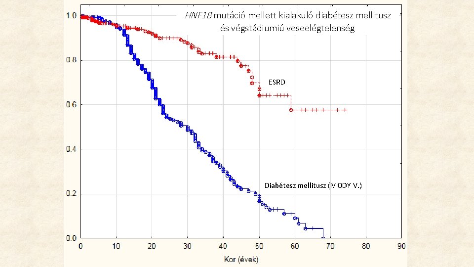 HNF 1 B mutáció mellett kialakuló diabétesz mellitusz és végstádiumiú veseelégtelenség ESRD Diabétesz mellitusz HNF 1 B mutáció mellett kialakuló diabétesz mellitusz és végstádiumiú veseelégtelenség ESRD Diabétesz mellitusz
