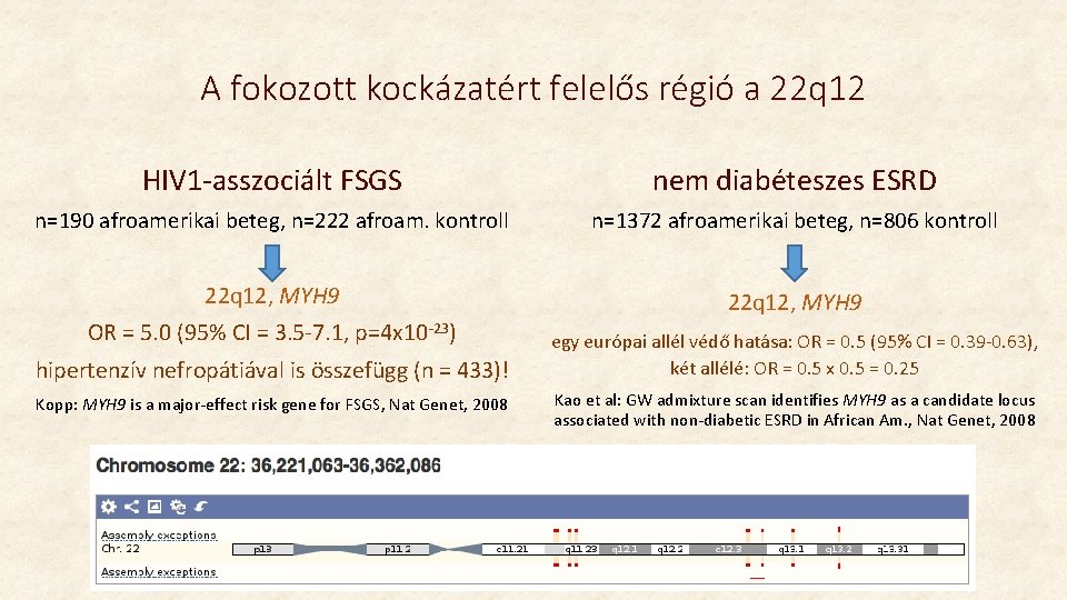 A fokozott kockázatért felelős régió a 22 q 12 HIV 1 -asszociált FSGS nem A fokozott kockázatért felelős régió a 22 q 12 HIV 1 -asszociált FSGS nem
