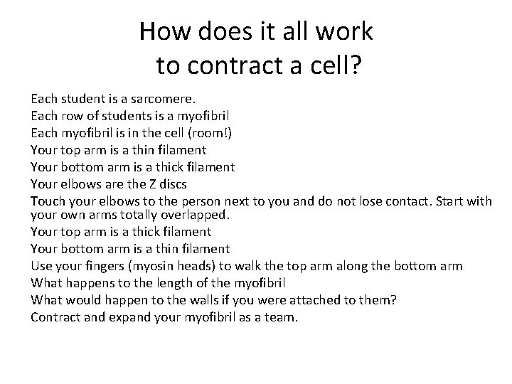 How does it all work to contract a cell? Each student is a sarcomere.