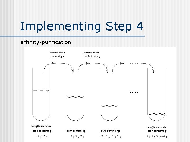 Implementing Step 4 affinity-purification 