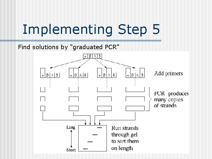 Implementing Step 5 Find solutions by “graduated PCR” 