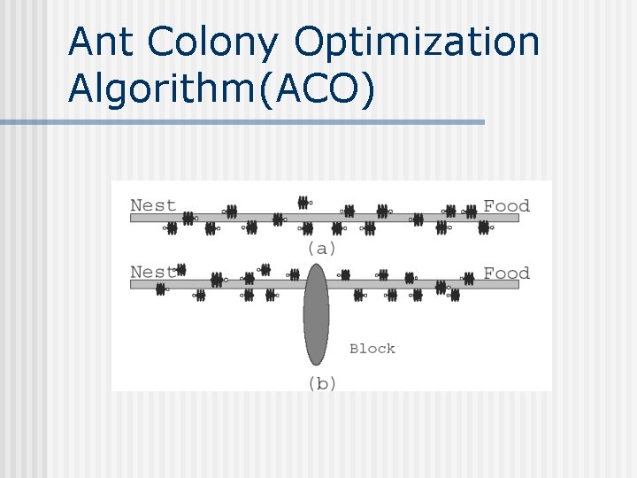 Ant Colony Optimization Algorithm(ACO) 