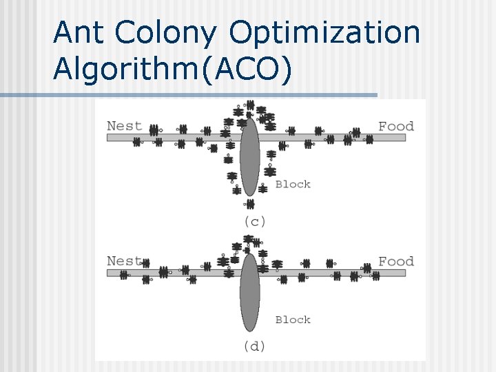 Ant Colony Optimization Algorithm(ACO) 