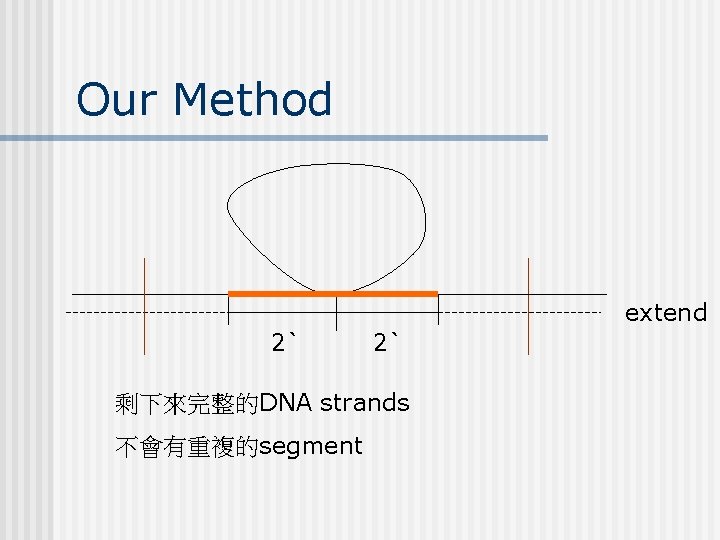 Our Method extend 2` 2` 剩下來完整的DNA strands 不會有重複的segment 