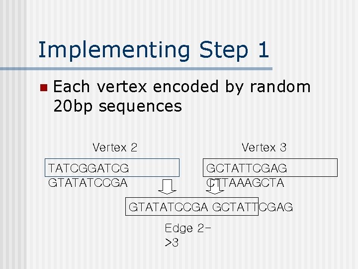 Implementing Step 1 n Each vertex encoded by random 20 bp sequences Vertex 2