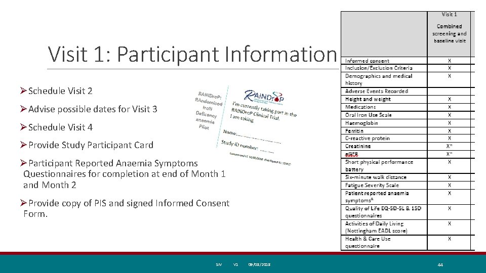 Visit 1: Participant Information ØSchedule Visit 2 ØAdvise possible dates for Visit 3 ØSchedule