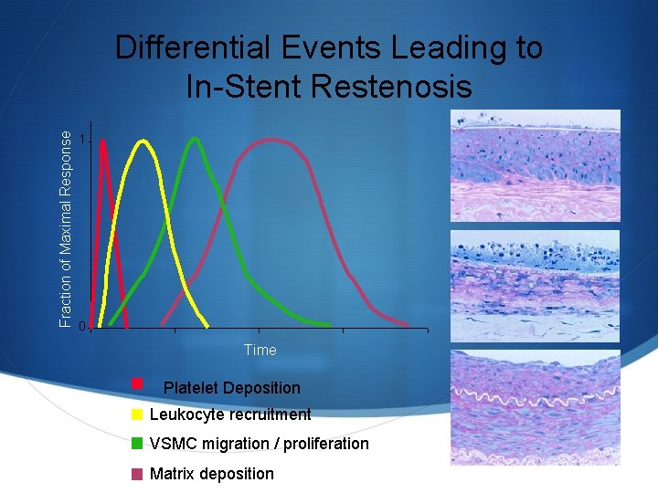 Fraction of Maximal Response Differential Events Leading to In-Stent Restenosis 1 0 Time Platelet