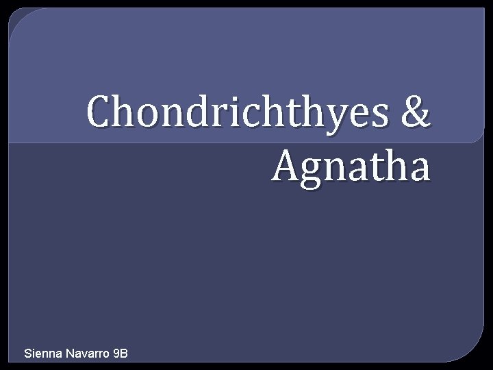 Chondrichthyes & Agnatha Sienna Navarro 9 B 