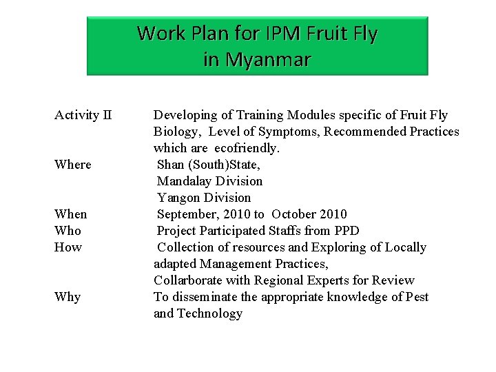 Work Plan for IPM Fruit Fly in Myanmar Activity II Where When Who How