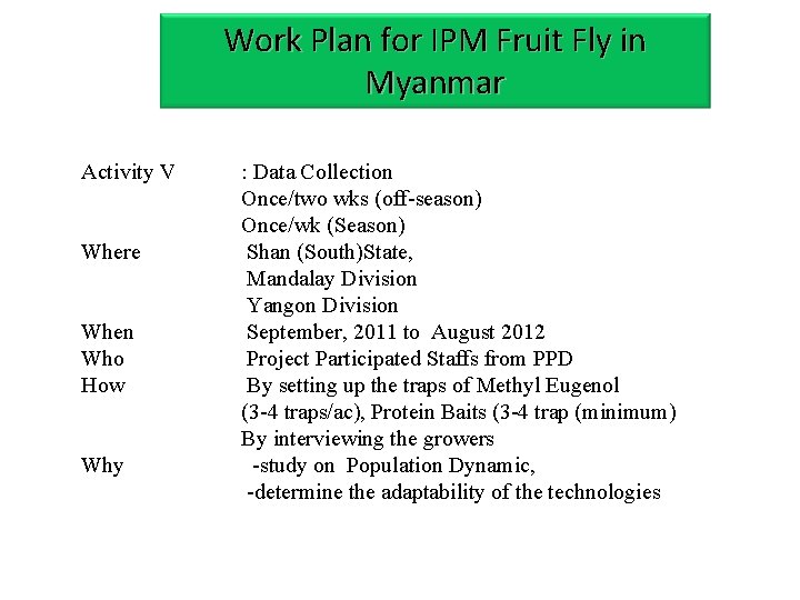 Work Plan for IPM Fruit Fly in Myanmar Activity V Where When Who How