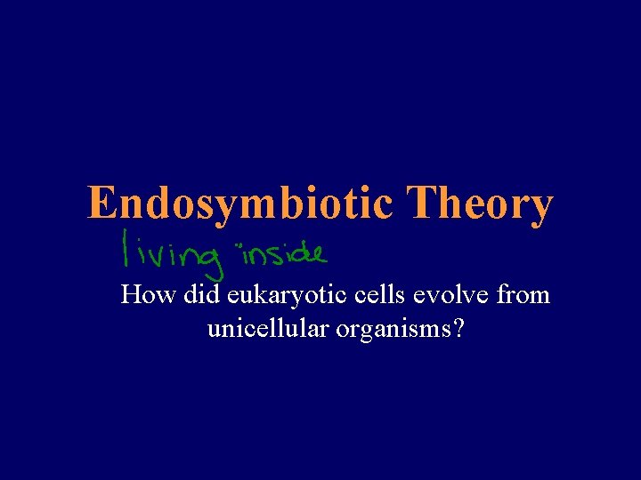 Endosymbiotic Theory How did eukaryotic cells evolve from unicellular organisms? 