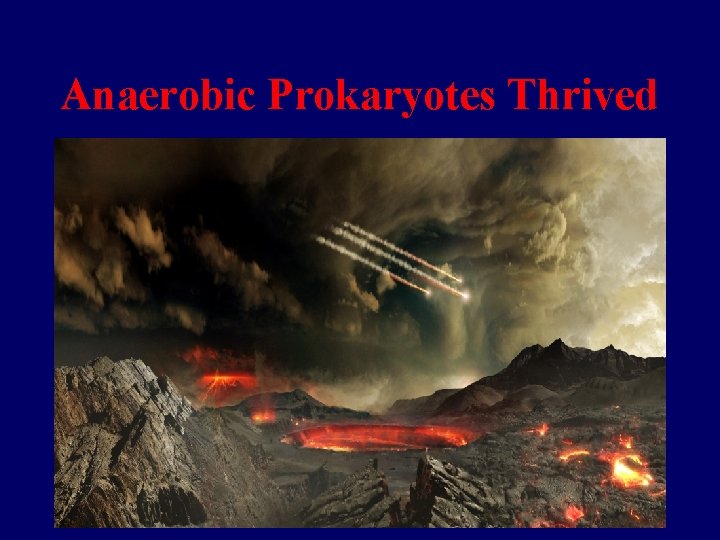 Anaerobic Prokaryotes Thrived 