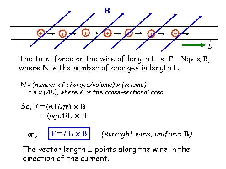 B + + + + The total force on the wire of length L