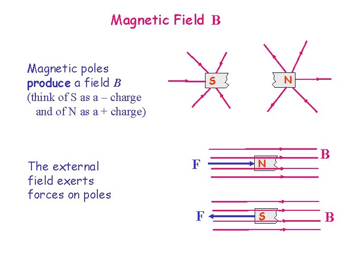 Magnetic Field B Magnetic poles produce a field B (think of S as a