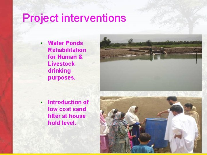 Project interventions § Water Ponds Rehabilitation for Human & Livestock drinking purposes. § Introduction