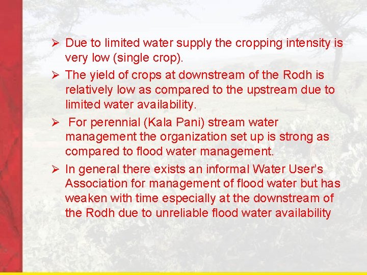 Ø Due to limited water supply the cropping intensity is very low (single crop).