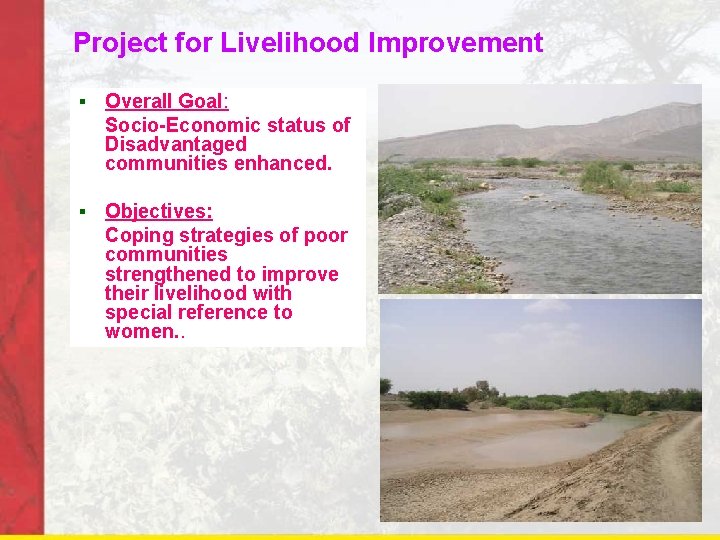 Project for Livelihood Improvement § Overall Goal: Socio-Economic status of Disadvantaged communities enhanced. §
