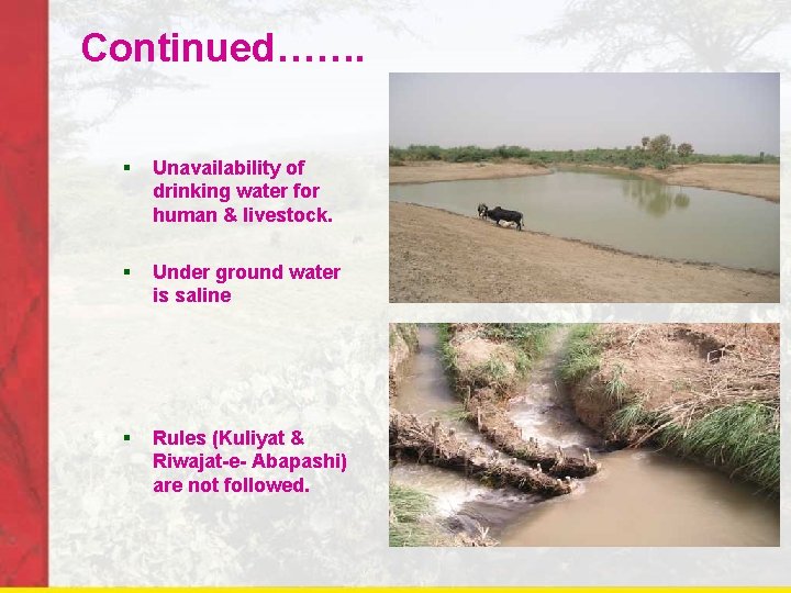 Continued……. § Unavailability of drinking water for human & livestock. § Under ground water