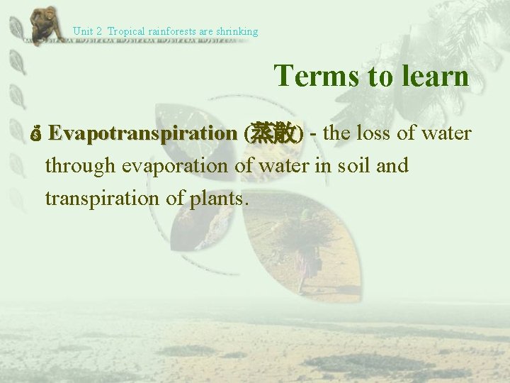 Unit 2 Tropical rainforests are shrinking Terms to learn Evapotranspiration (蒸散) 蒸散 - the