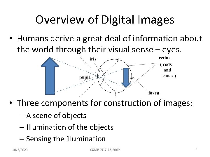 Overview of Digital Images • Humans derive a great deal of information about the
