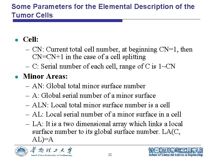 Some Parameters for the Elemental Description of the Tumor Cells l Cell: – CN: